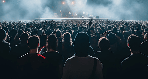 Concert crowd